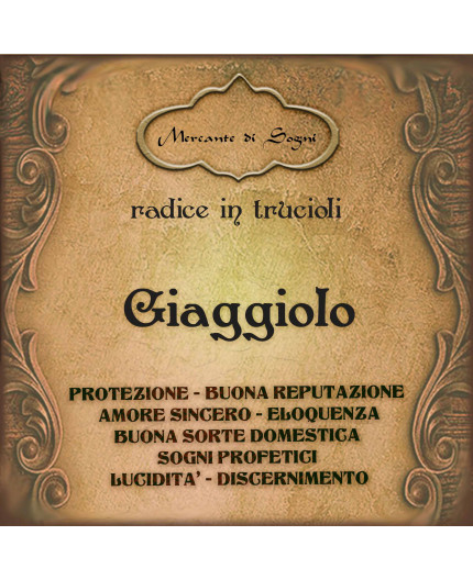 Giaggiolo | Radice