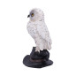 Soren 15,3 cm
