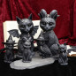 Pawzuph 26,5 cm