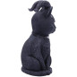 Pawzuph 11 cm Pawzuph 11 cm