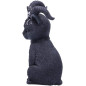 Pawzuph 11 cm Pawzuph 11 cm