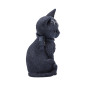 Malpuss 10 cm