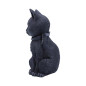 Malpuss 10 cm
