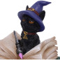 Binx 11 cm