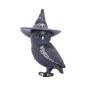 Owlocen 13,5 cm