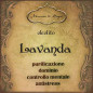 Lavanda | Oleolito Lavanda | Oleolito