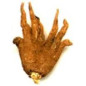 Lucky hand root | Radice intera