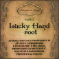 Lucky hand root | Radice intera