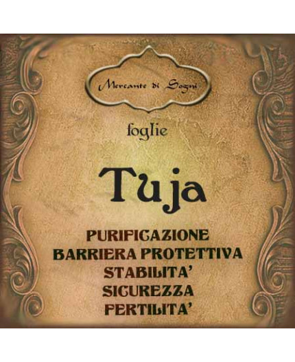 Tuja | Foglie intere